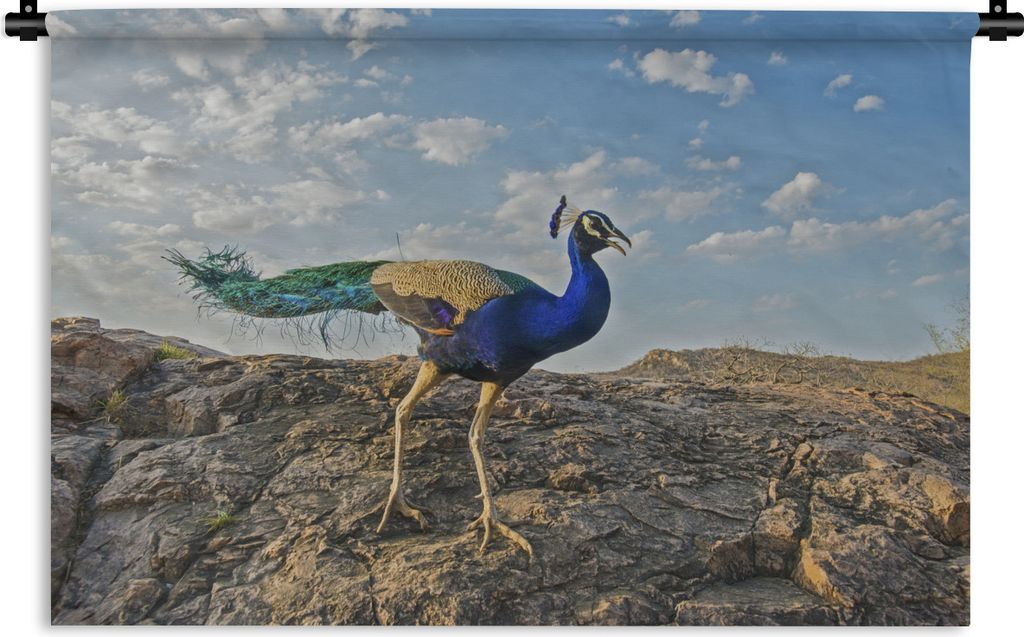 MuchoWow Wandteppich Wandbehang Pfau - Berg - Blau 120x80 cm Tapisserie Dekoration Wandtuch - Wanddekorationen - Wandtücher