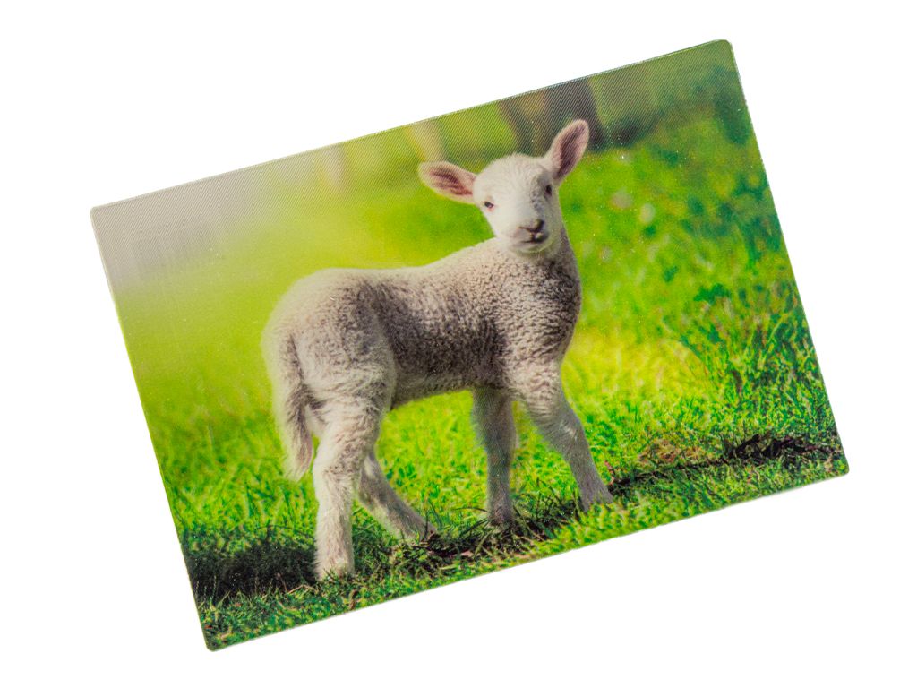 3 D Ansichtskarte Schäfchen, Postkarte Wackelkarte Produktbild 