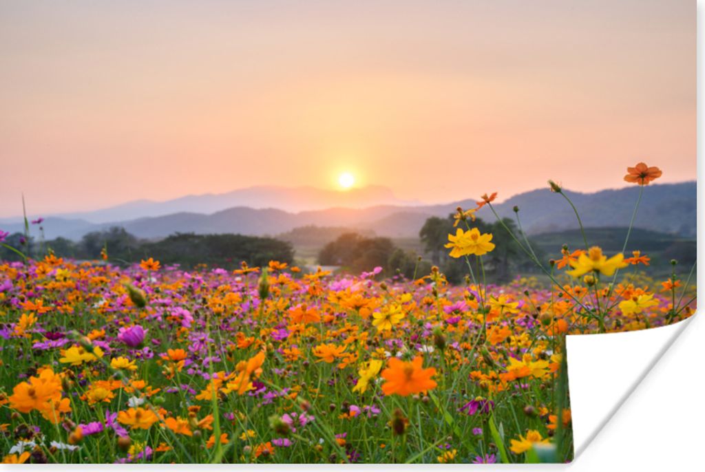 MuchoWow Poster Blumen - Sonnenuntergang - Berg 30x20 cm - Plakate - Print