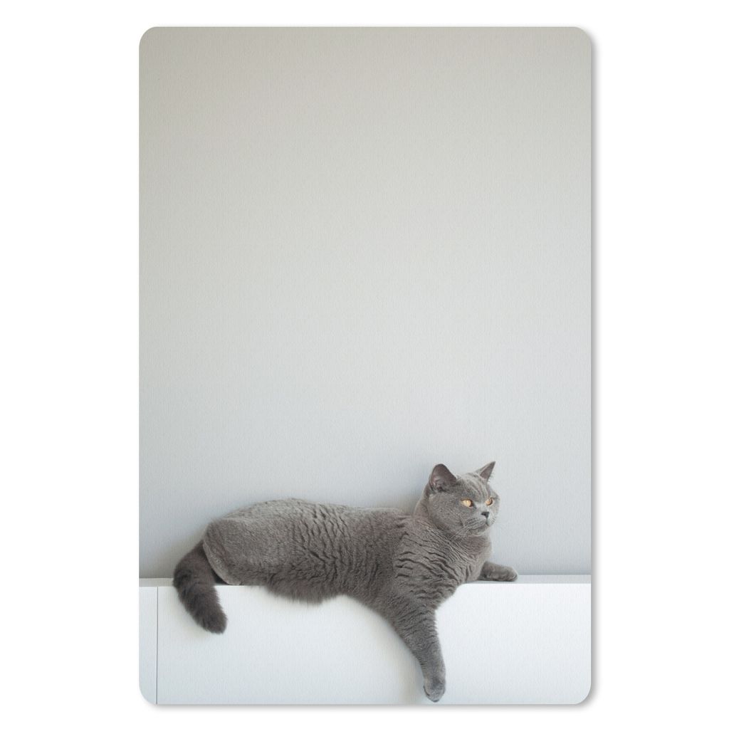 MuchoWow Mauspad Mousepad Katze - Britisch Kurzhaar - Grau - Mädchen - Kinder - Jungen - Kinder 40x60 cm - Mousepads - Maus Mat - Pad - Mausunte...