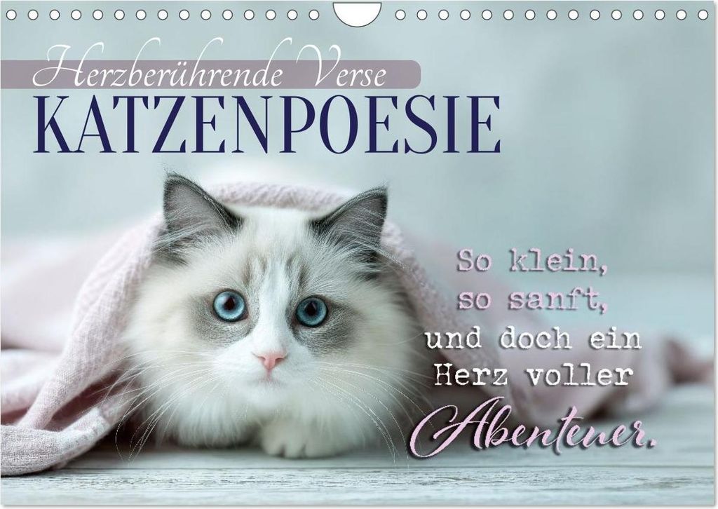 Katzenpoesie - Herzberührende Verse (Wandkalender 2027 DIN A4 quer), CALVENDO Monatskalender