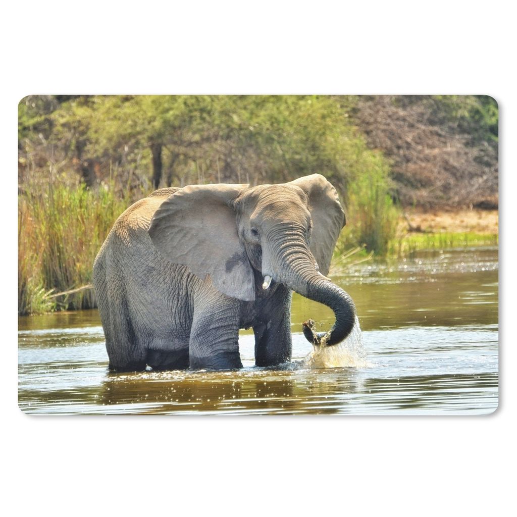 MuchoWow Schreibtischunterlage Elefant - Wasser - Tiere - Natur 60x40 cm - XXL Mauspad - Großes Mauspad