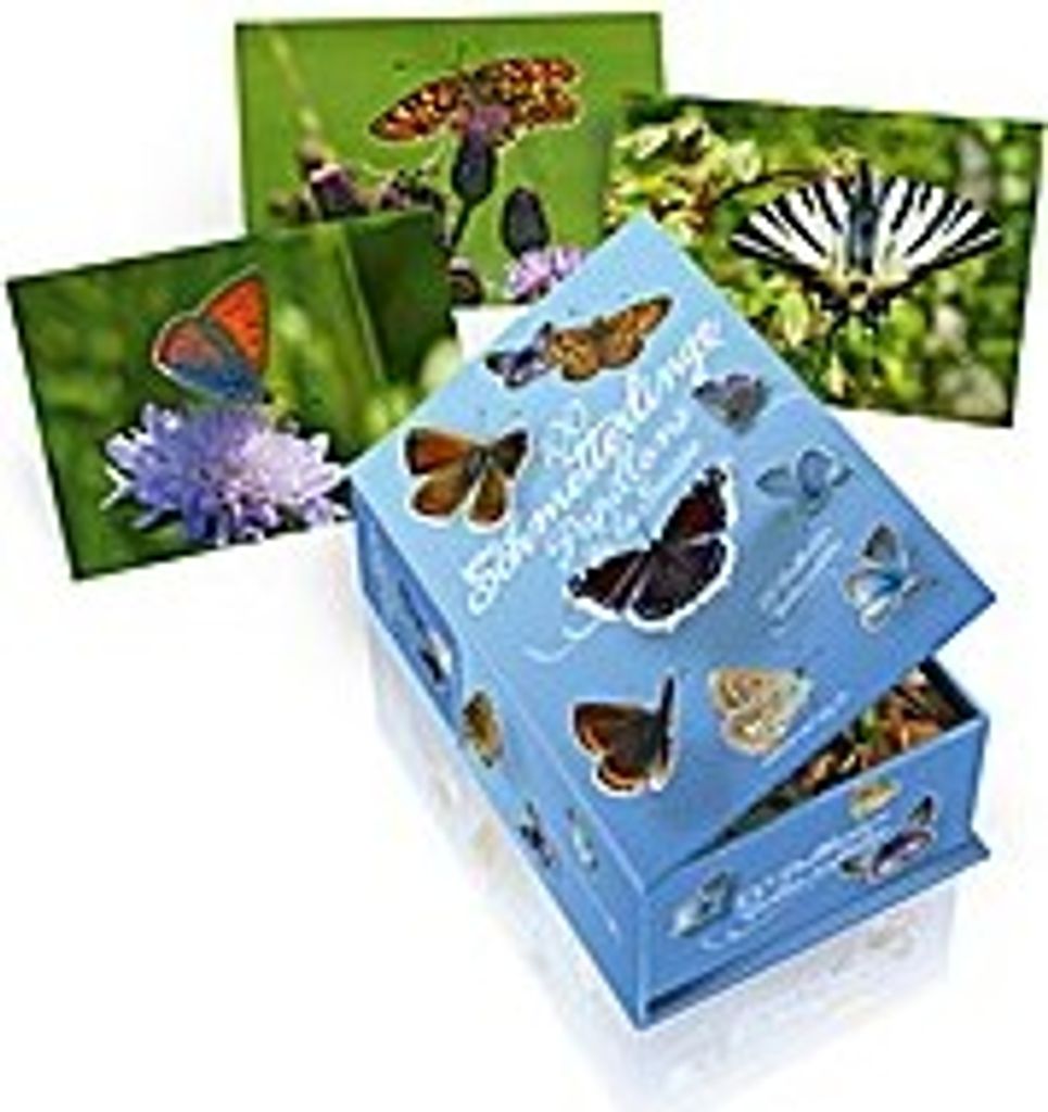 Wymann, H: Postkartenbox 100 Schmetterlinge der Schweiz