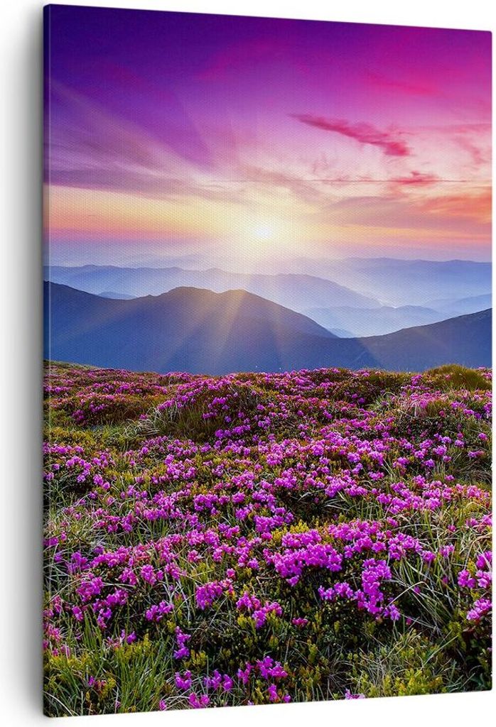 Bild auf Leinwand - Leinwandbild - Einteilig - Wiese Berg Himmel Landschaft - 50x70cm - Wand Bild - Wanddeko - Wandbilder - Leinwanddruck - Wanddek...