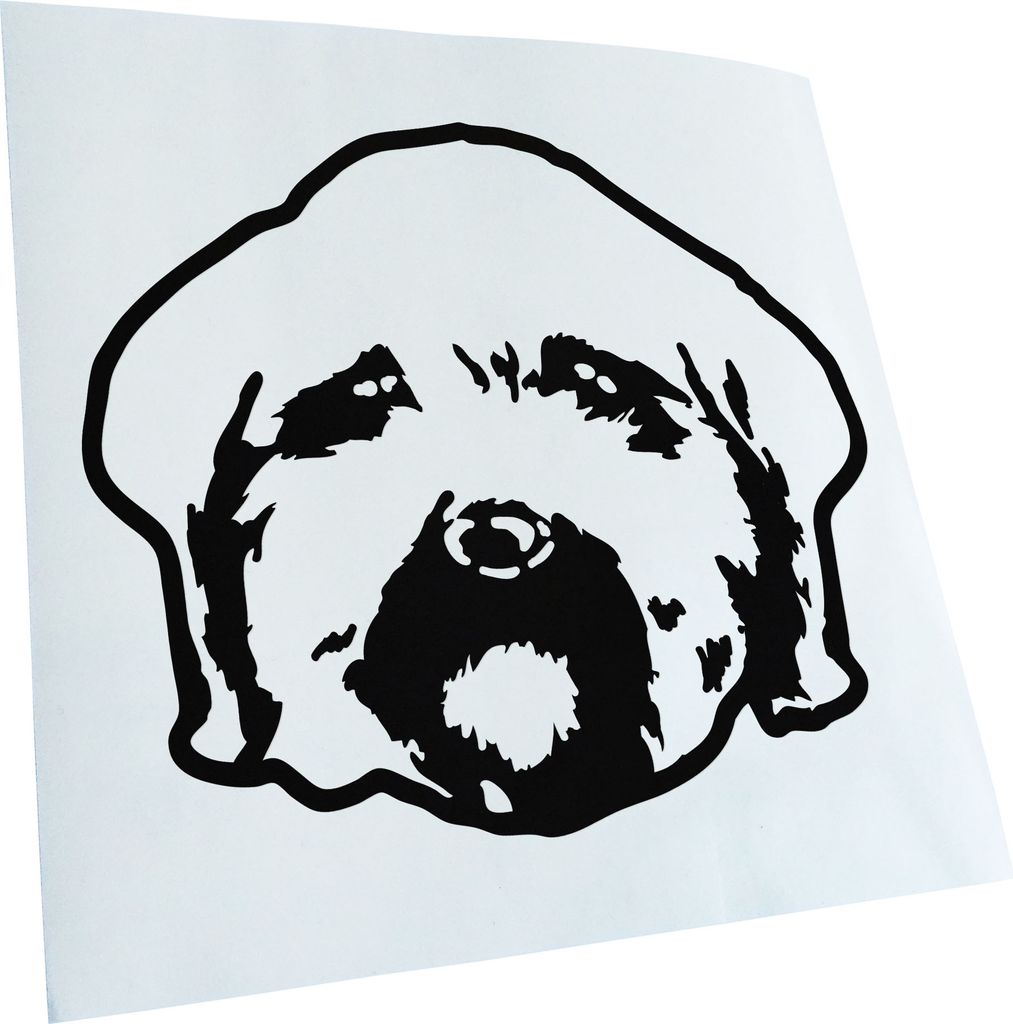 Kiwistar - Autoaufkleber - Maltipoo Hund - Schwarz - 24x20cm - Aufkleber für Auto, Laptop, Fahrrad, LKW, Motorrad mehrfarbig JDM Decal Racing