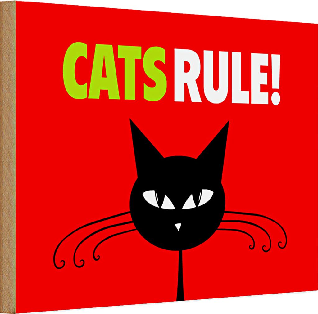Holzschild Spruch 30x20cm Cats rule Katze