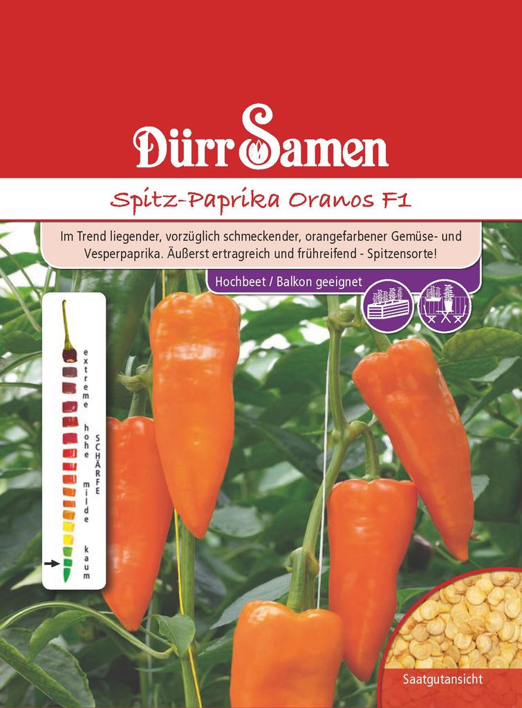 Spitzpaprika Oranos F1 | Spitzpaprikasamen von Dürr Samen Produktbild 