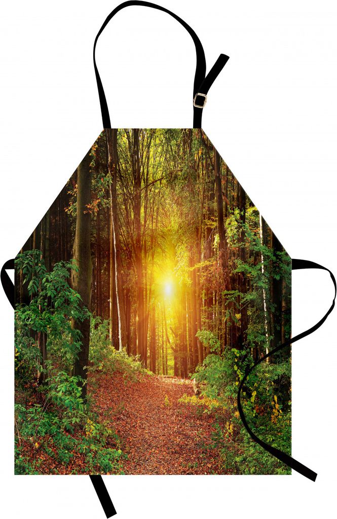 ABAKUHAUS Wald Kochschürze, Magische Reflexion tief im Wald Birken Bäume Natur Herbst Fantasy Landschaft, Farbfest Höhenverstellbar Waschbar Kla...