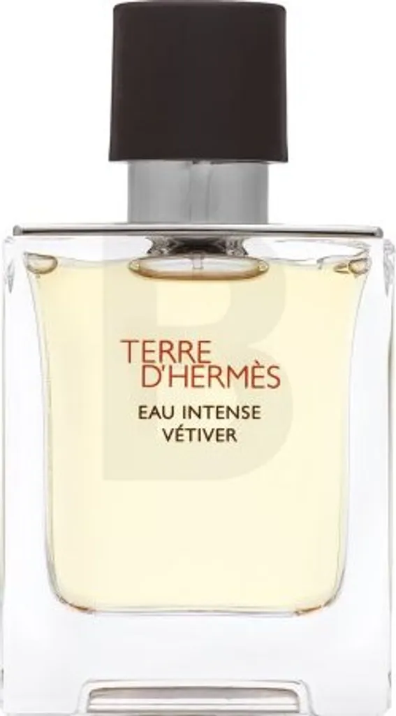 Hermès Terre d'Hermès Eau Intense Vétiver Eau de Parfum - Flacon 50 ml - 2