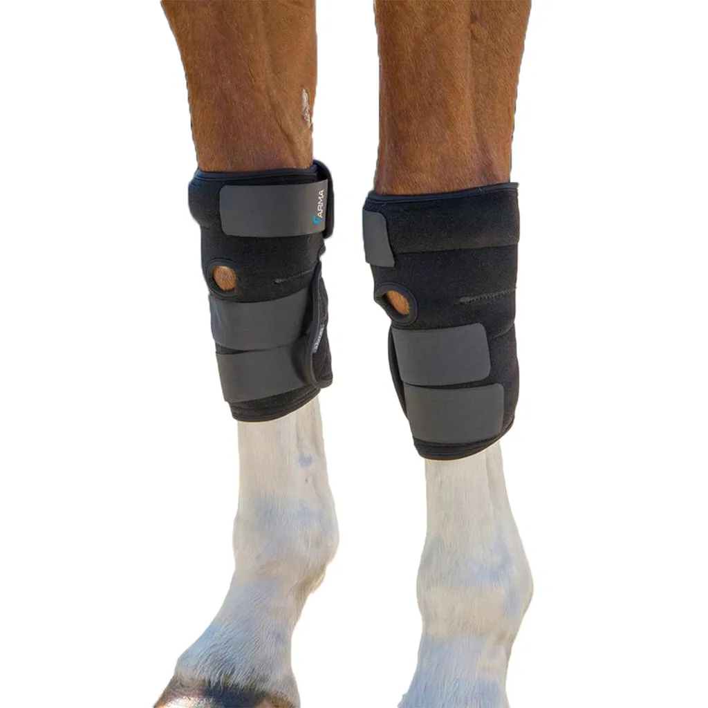 Guêtres cheval Hot/Cold ARMA ER1060 avec inserts gel réutilisables Noir