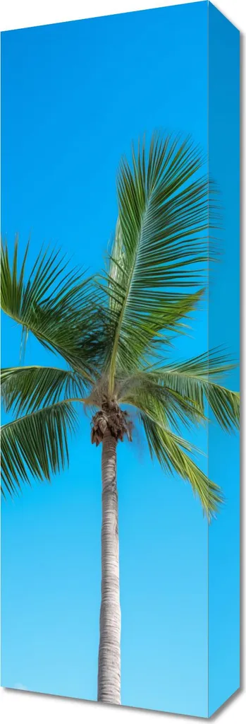 Image Ciel haut format 20x60 cm : Impression haute définition sur toile