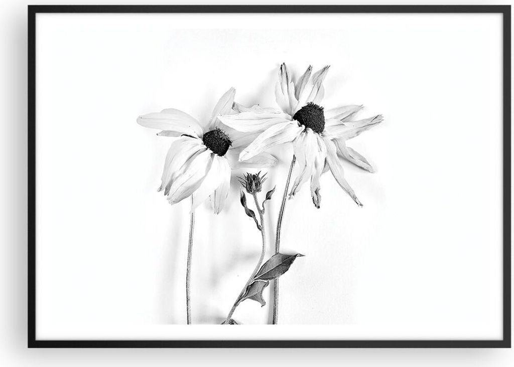 Gerahmtes Poster - Schwarzer Rahmen - Verwelkt Blumen Monochrom - 100x70 cm - Wand Bild - Wanddeko - Wandbilder - Kunstposter - Wandposter - Bilder...