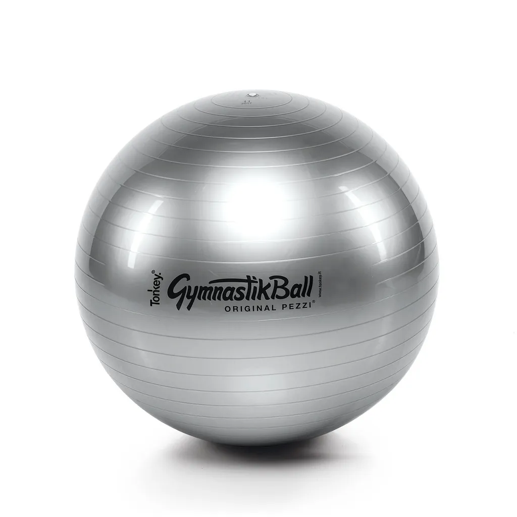 Original Pezzi Gymnastikball : Ballon de Gym Argenté Haute Résistance