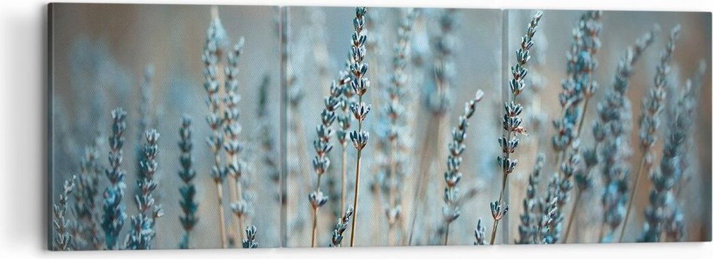 Bild auf Leinwand - Leinwandbild - 3 Teile - Lavendel Klinge Blume - 120x40cm - Wand Bild - Wanddeko - Wandbilder - Leinwanddruck - Bilder - Wandde...