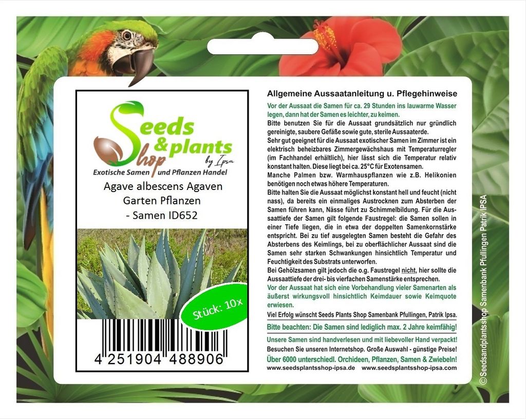 10x Agave albescens Agaven Garten Pflanzen - Samen ID652