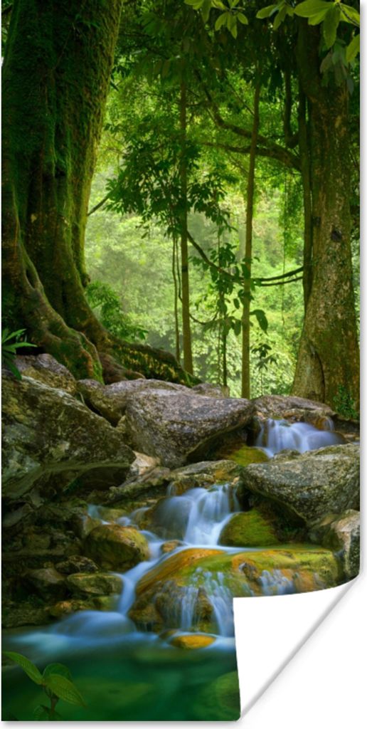 MuchoWow Poster Dschungel - Steine - Wasser - Natur - Pflanzen 60x120 cm - Wandschmuck