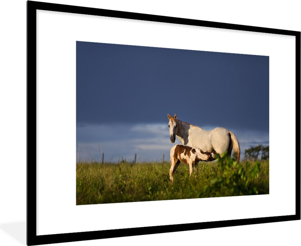 MuchoWow MuchoWow Gerahmtes Poster Pferde - Gras - Fohlen 90x60 cm - Poster mit zchwarzem Bilderrahmen - Wanddekoration - Fotos