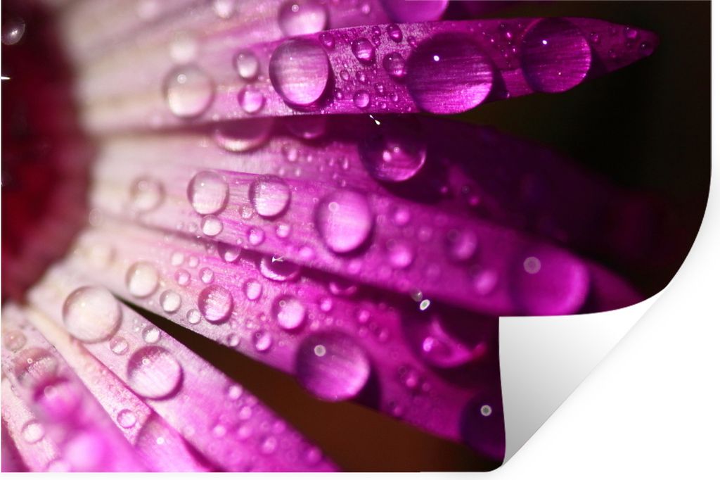 MuchoWow - Selbstklebend - Fototapeten