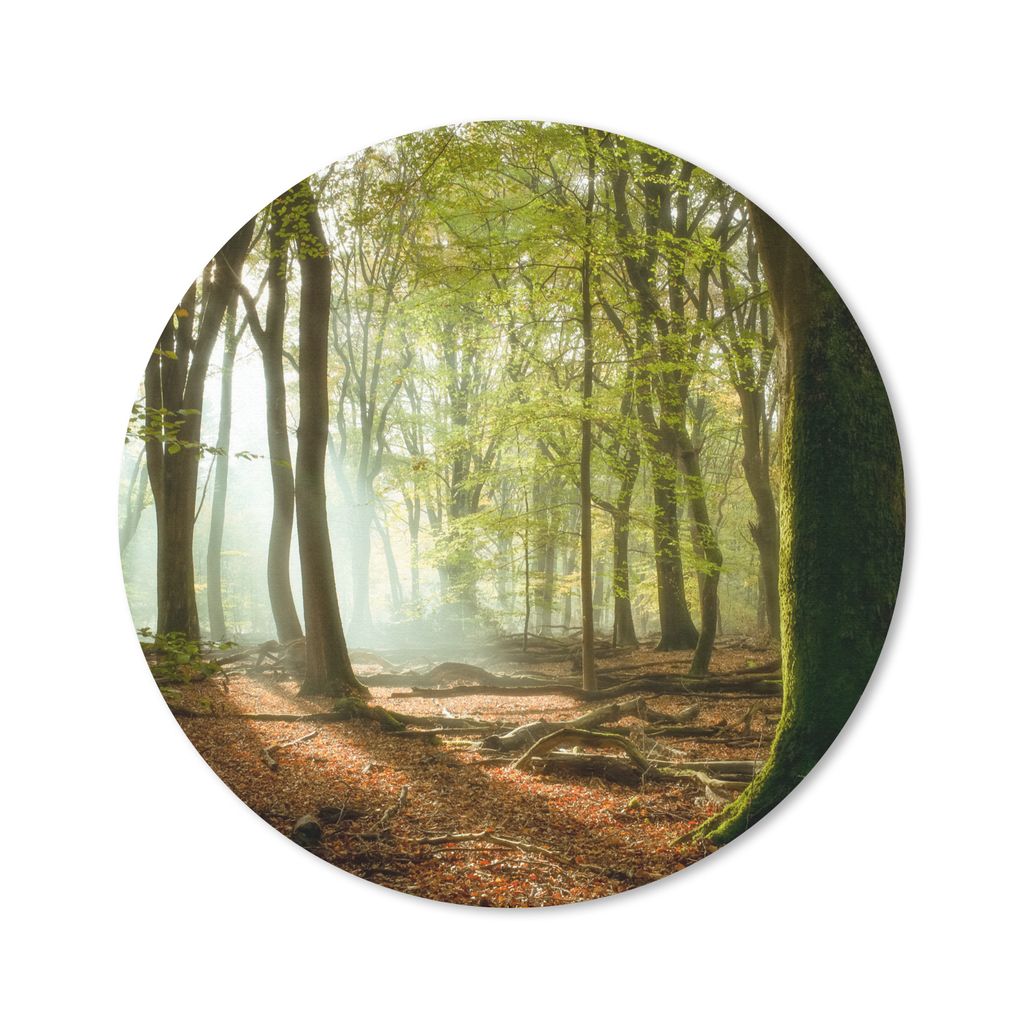 MuchoWow Mauspad Mousepad Wald - Sonne - Jahreszeiten - Landschaft 50x50 cm - Mousepads - Maus Mat - Pad - Mausunterlage - Vinyl
