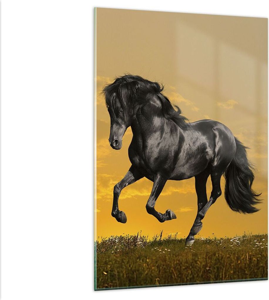 Bilder auf glas - Einteilig - Tiere Pferd Laufen Wiese - 80x120cm - Glasbilder - Wandbilder - Bilder - zum Aufhängen bereit - Wanddekoration aus G...