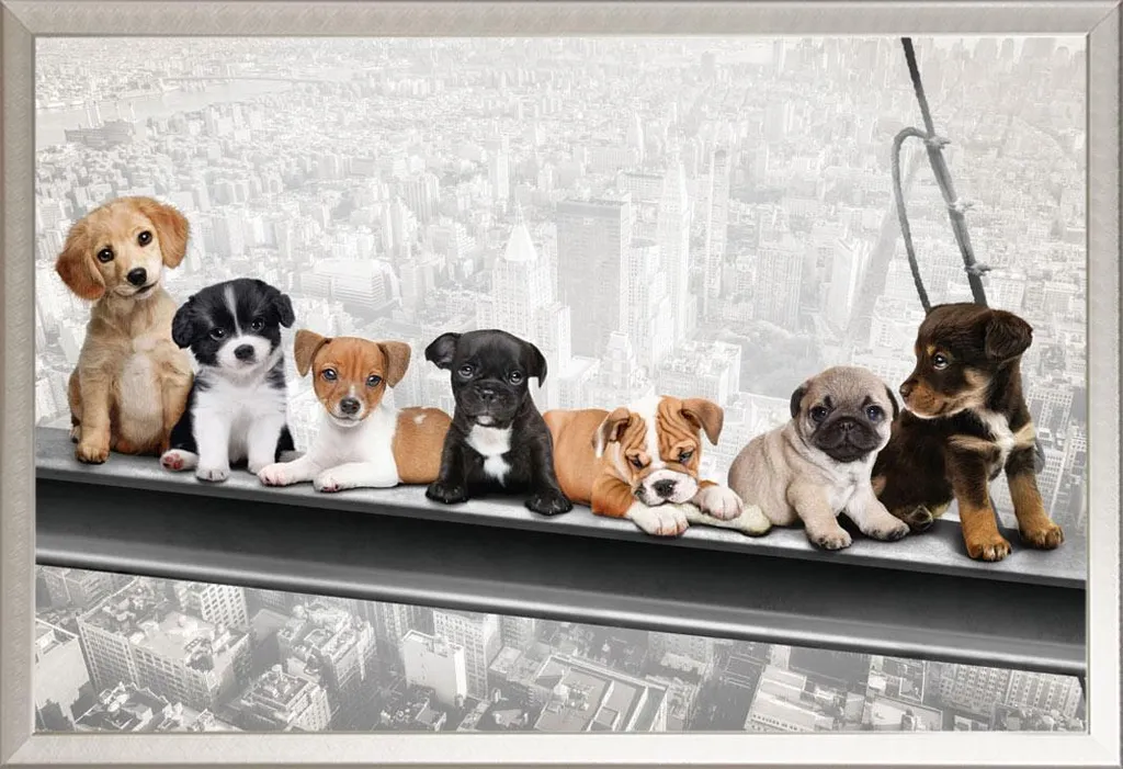 Poster New York Skydogs Chiens sur Poutre d'Acier Shinsuke Maxi Argenté
