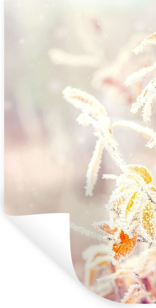 MuchoWow Wandtattoo Wandsticker Wandaufkleber Winter - Äste - Schnee - Natur 40x80 cm Selbstklebend und Repositionierbar - Repositionierbar - Wa...