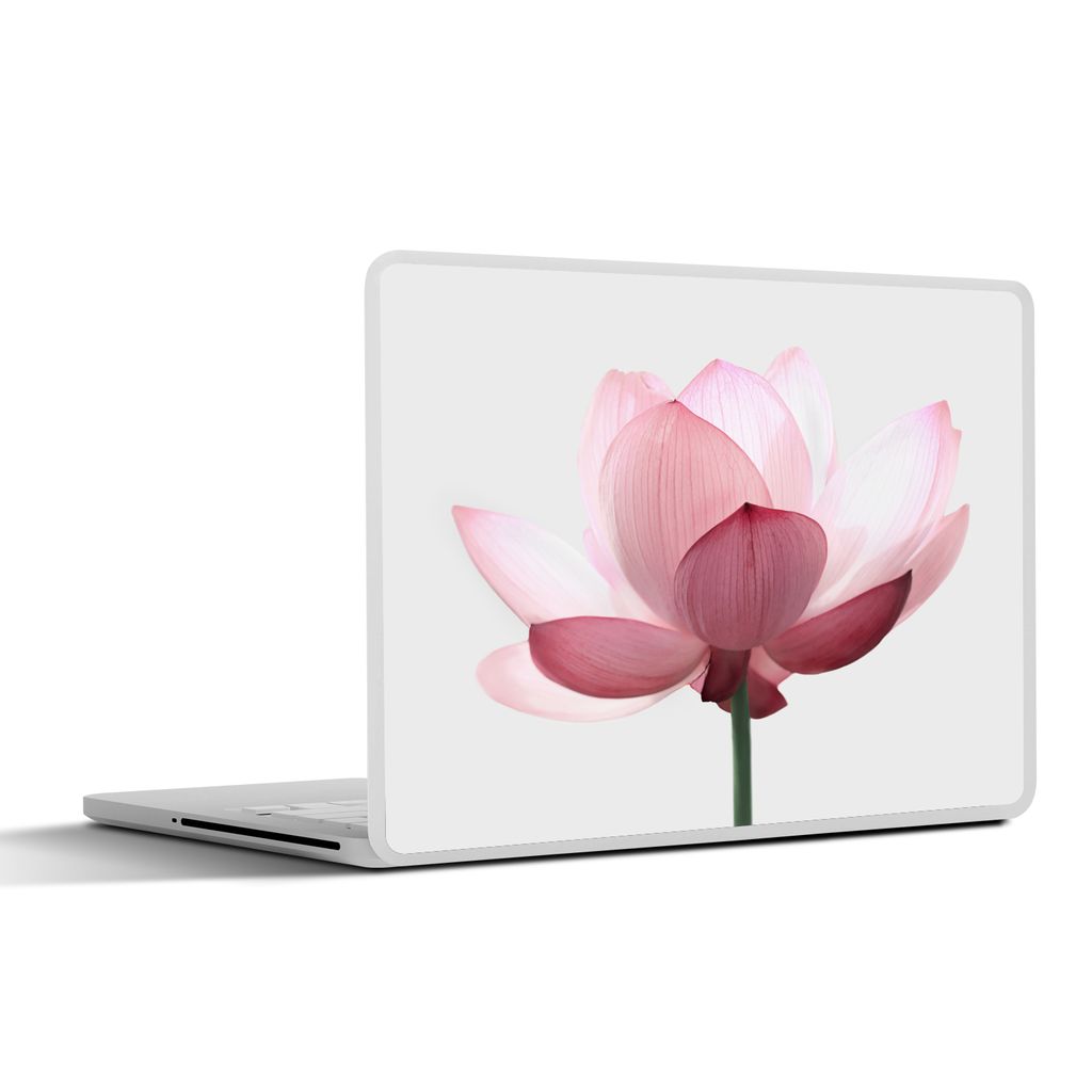 MuchoWow Laptop Aufkleber Sticker Cover Blumen - Rosa - Natur - Botanisch 40x30 cm - Laptop Dekoration - Selbstklebend