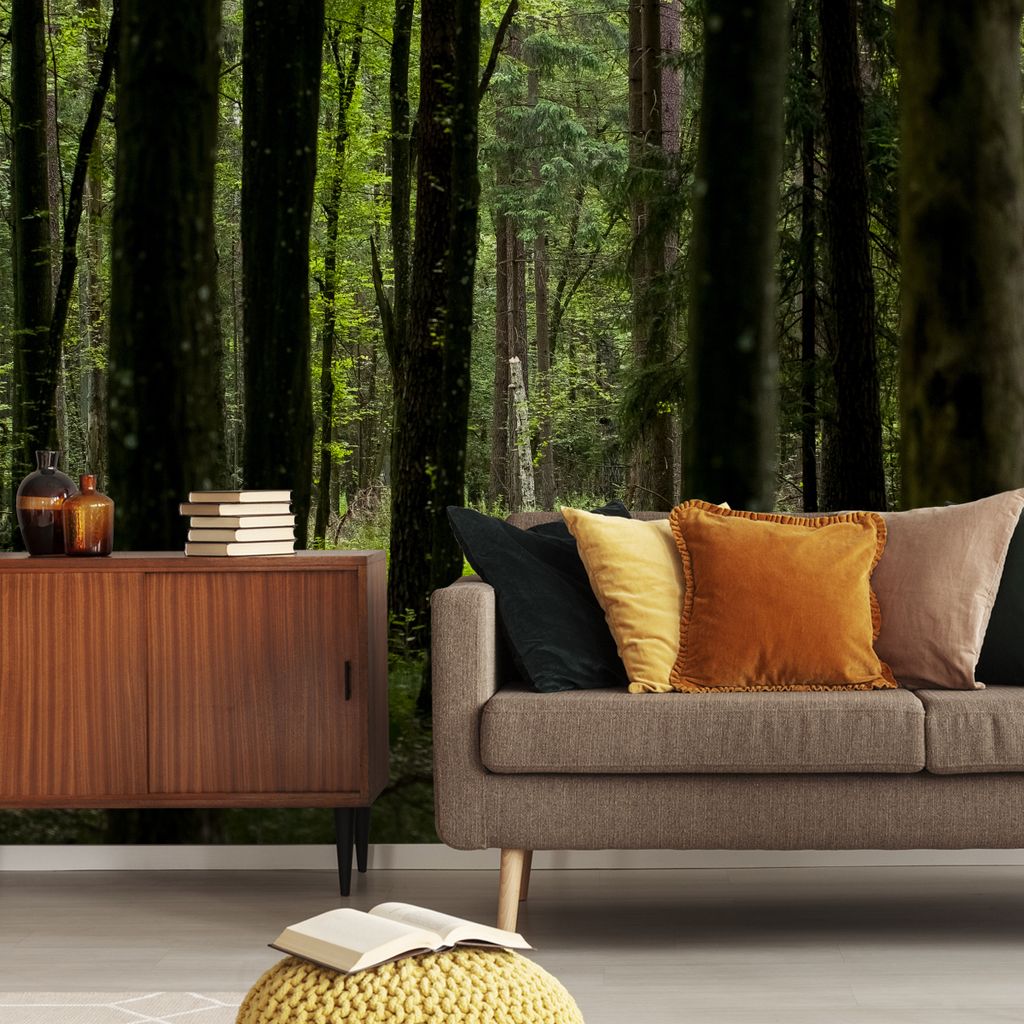 Muralo XXL Selbstklebende FOTOTAPETE Waldlandschaft der Pflanzen Baeume (B) 300 cm x (H) 210 cm Tapete Wandtapete WOHNZIMMER SCHLAFZIMMER 5134