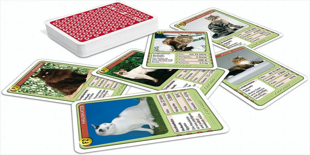 Chats Quatuor Jeu de Cartes Classique - Coffret de 32 Cartes Illustrées