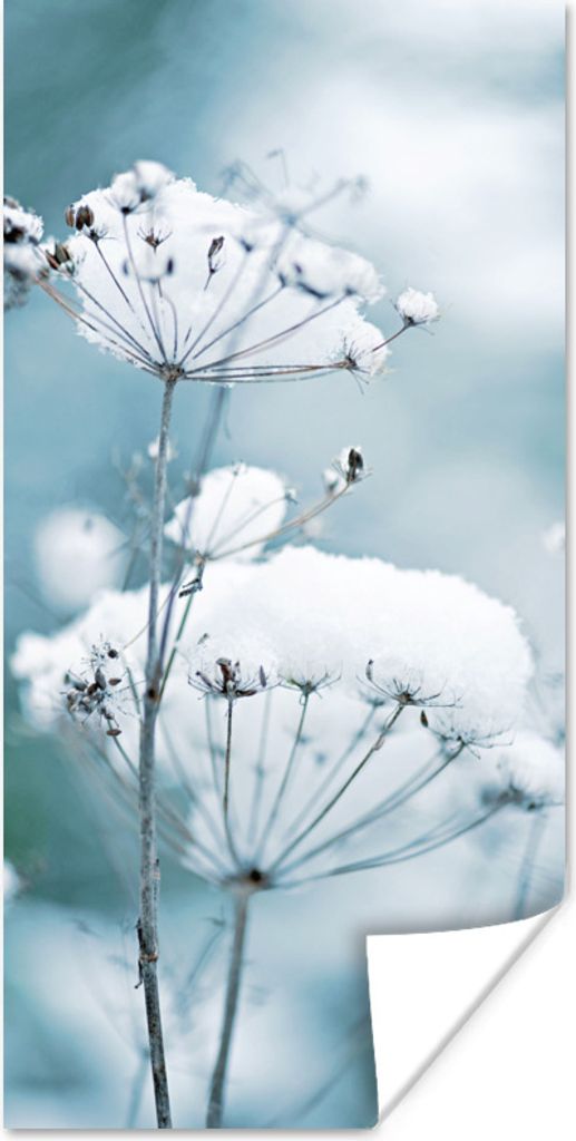 MuchoWow Poster Schnee - Blumen - Winter - Zweige 75x150 cm - Dekoration für die Wände