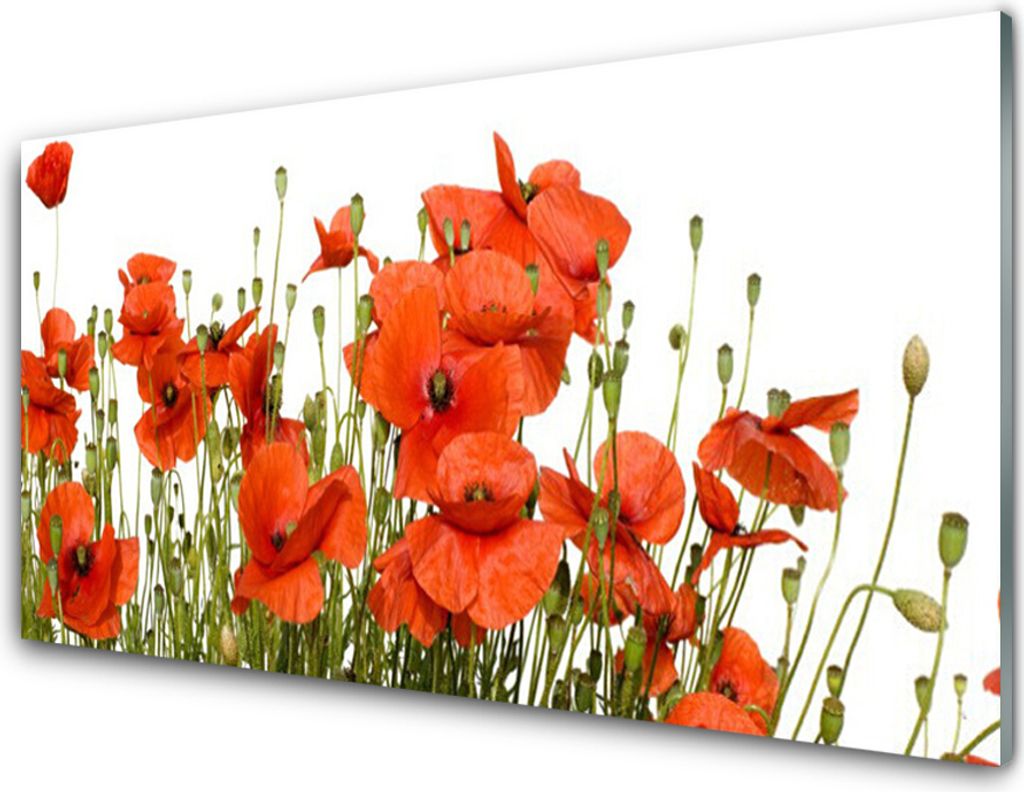 Acrylglasbilder 100x50 Wandbild Druck Mohnblumen Pflanzen Produktbild 