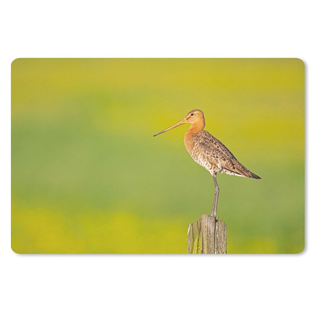 MuchoWow Mauspad Mousepad Vogel - Tiere - Uferschnepfe - Pfahl - Grün 27x18 cm - Mousepads - Maus Mat - Pad - Mausunterlage - Büroartikel - Des...