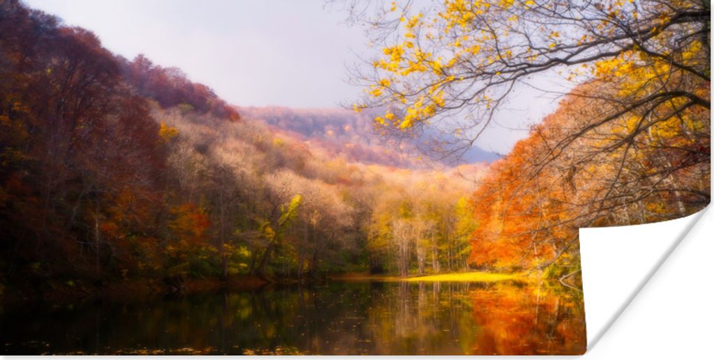 MuchoWow Poster Natur - Wald - Herbst 150x75 cm - ohne Rahmen