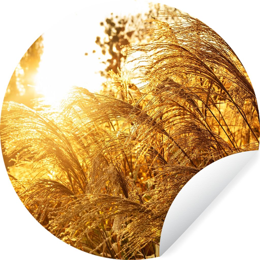 MuchoWow Runde Wandtattoo - Wandsticker Tapete Aufkleber Pampasgras - Sonne - Gras Ø 100 cm Selbstklebend und Repositionierbar - Wandaufkleber -...