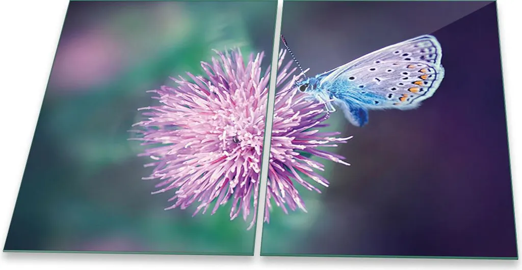 Piastre di copertura per fornelli Ceran splashback in vetro universale 2 pezzi 2x40x52 fiori natura