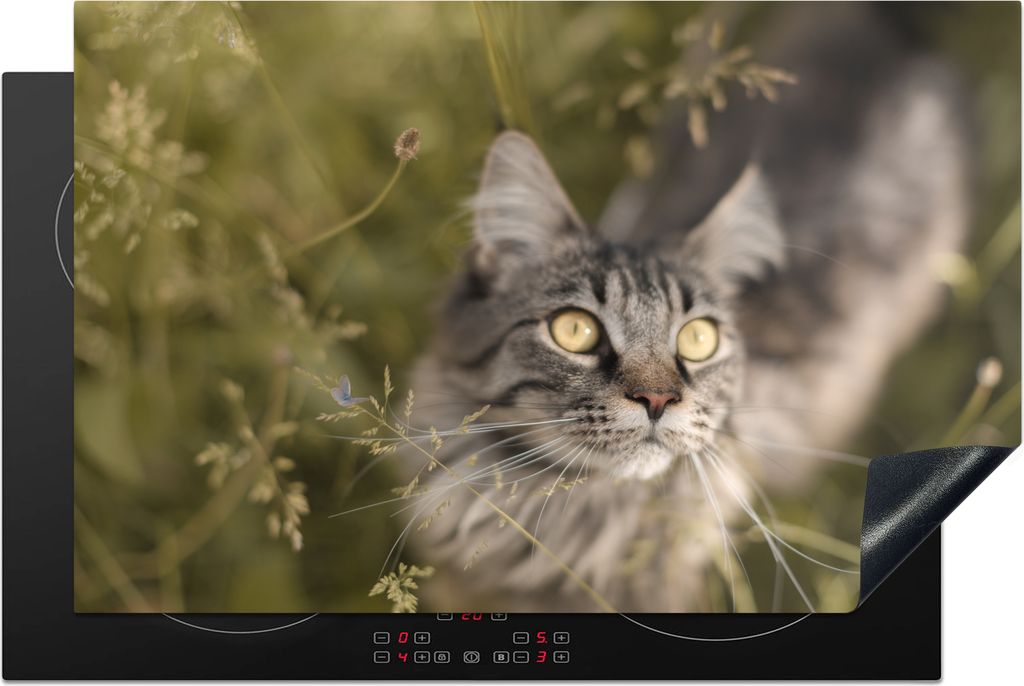 KitchenYeah Herdabdeckplatte Eine Maine Coon-Katze im hohen Gras , 80x52cm, Küche Deko, Glaskeramikkochfeld Herdabdeckung, Abdeckplatte fùr Koc...