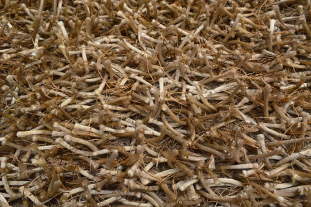 Tapis Doux Anti-Froid 70x140 cm Funny Macciato - Shaggy Haute Qualité