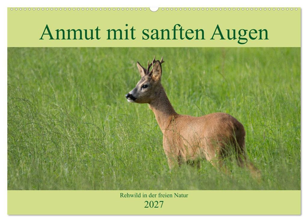 Anmut mit sanften Augen - Rehwild in der freien Natur (Wandkalender 2027 DIN A2 quer), CALVENDO Monatskalender