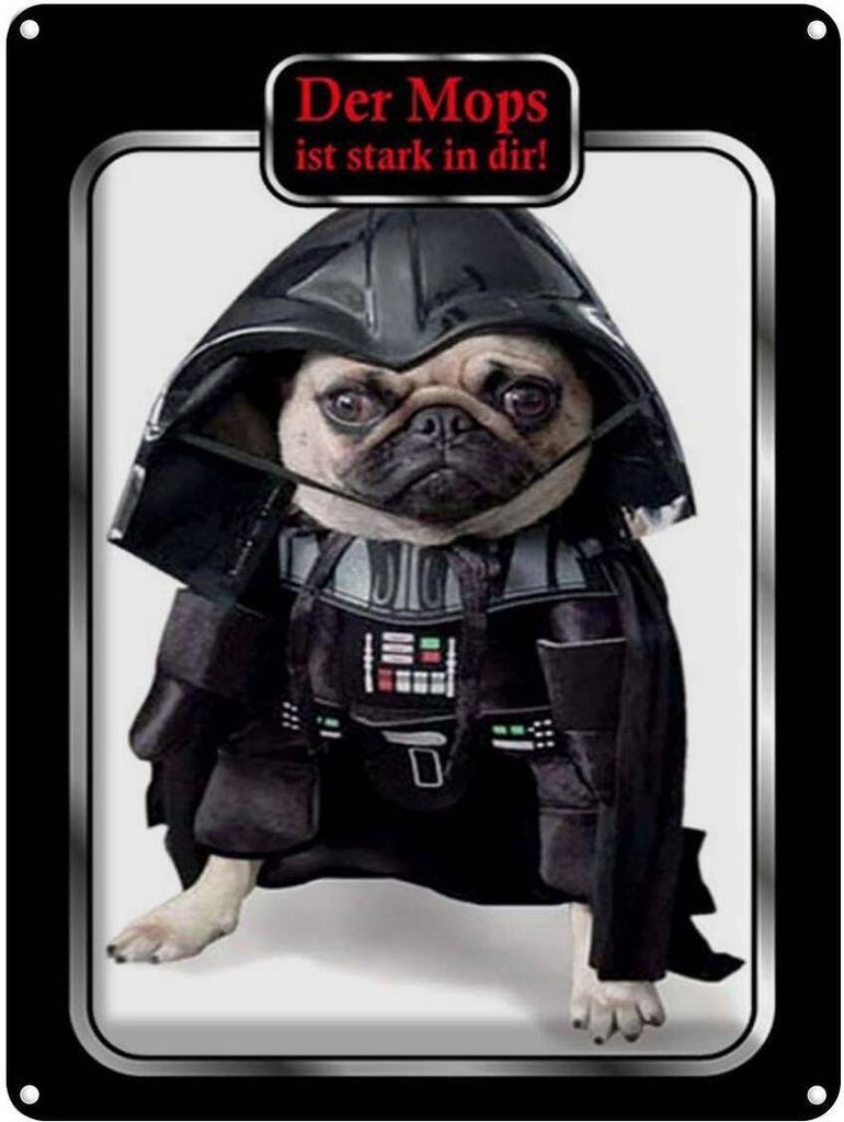 vianmo Blechschild 40x30 cm der Mops ist stark in dir Hund