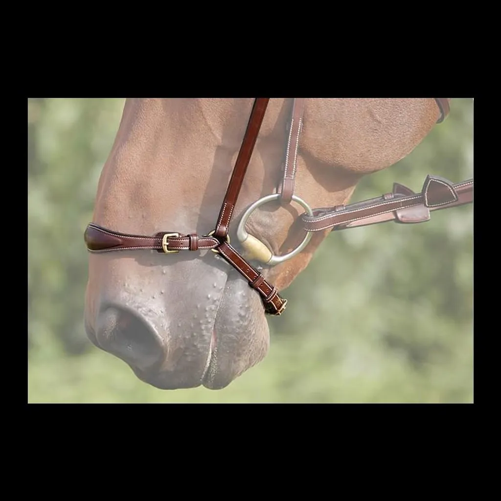 Embouchure de dressage de Hanovre noire Dy'on ajustable pour chevaux Full