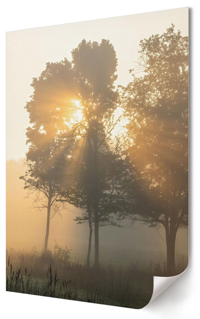 Morgendämmerung im Wald- Kunstdruck A1 (59x84 cm) - Klassisch, rustikal- Wandbild für Wohnzimmer Schlafzimmer & Flur, Modernes Poster Wanddeko, U...