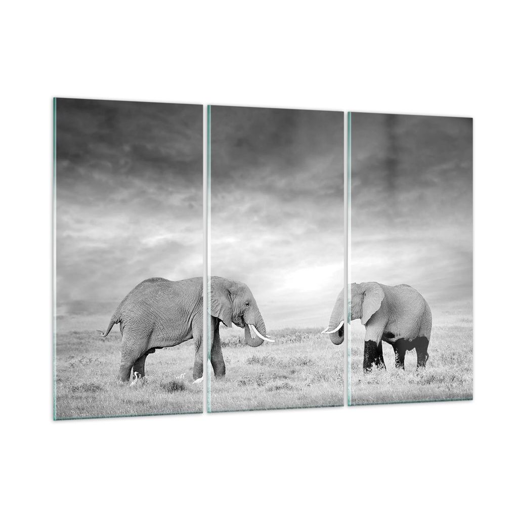 Bilder auf glas - 3 Teile - Elefanten Schwarzweiß Safari - 165x110cm - Glasbilder - Wandbilder - Bilder - Wanddekoration aus Glas - Glas Bilder - ...