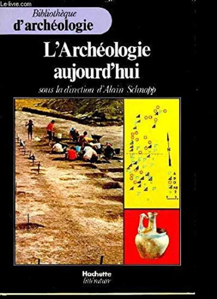 L'Archéologie aujourd'hui : Synthèse illustrée Bibliothèque archéologie