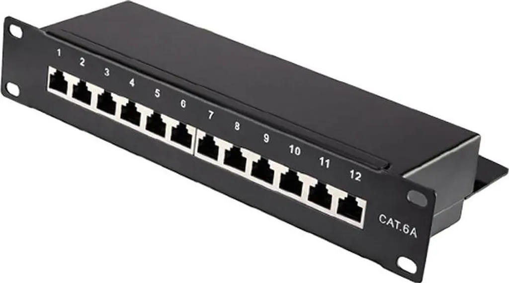 Panneau de brassage pour rack 19 pouces 24 ports 10Gbps organisation
