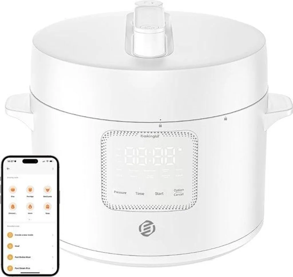 Mijoteuse électrique familiale avec minuterie pour repas sains