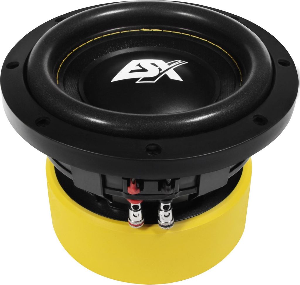ESX QUANTUM Woofer Subwoofer Bass Tiefton Hifi QE-622