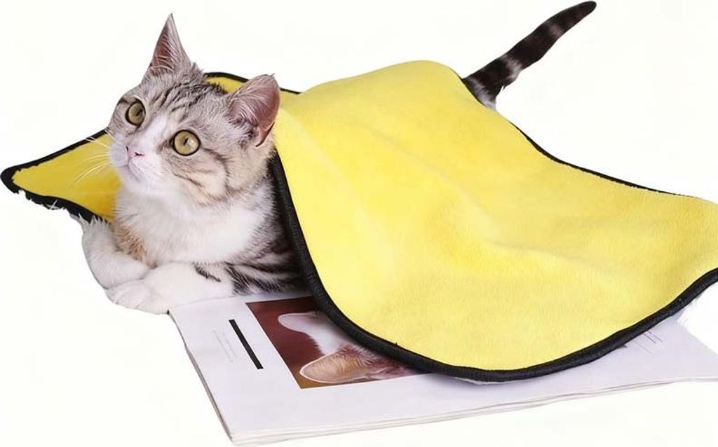Super Saugfähiges Haustier Handtuch aus Plüsch: Weich & Extra Dick, Schnell Trocknend für Katzen & Hunde,30*30cm