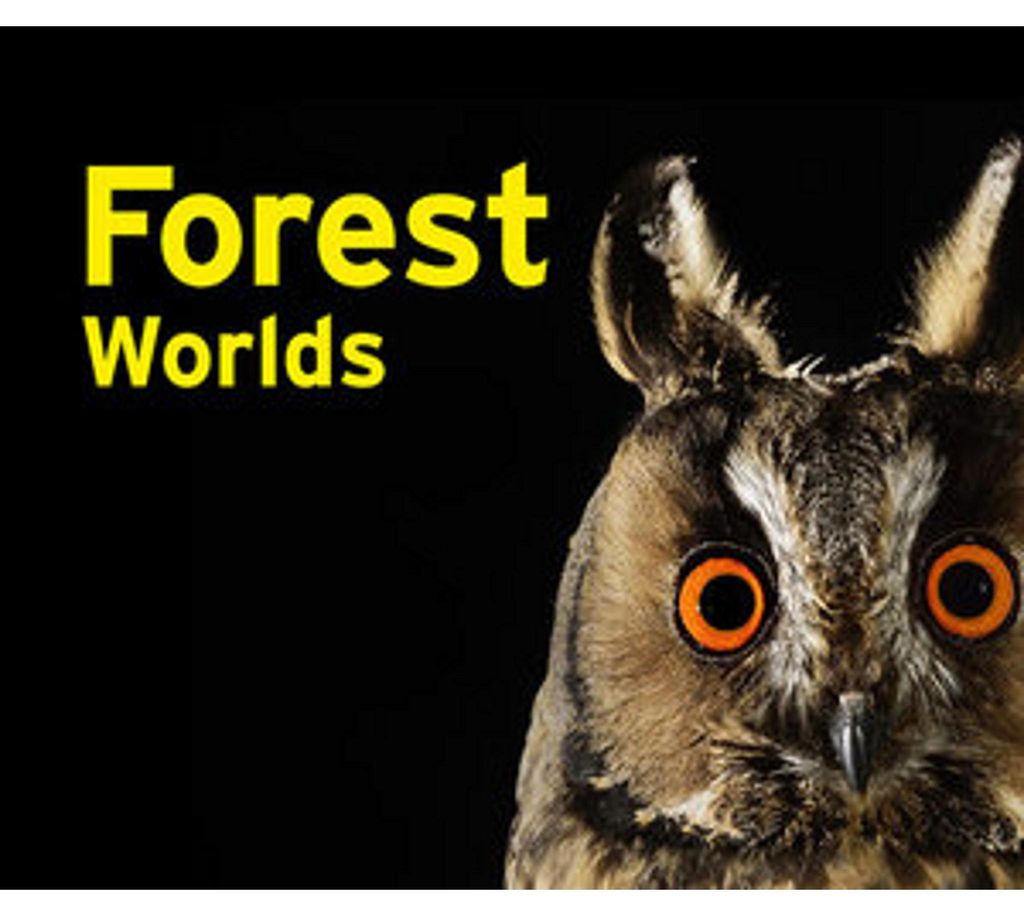 Forest Worlds