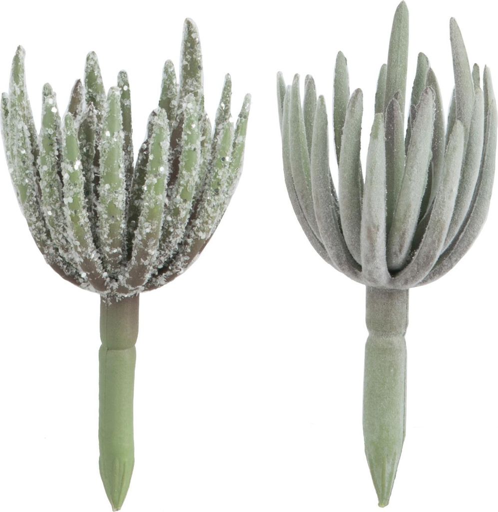 Fettpflanze echeveria plastik grün small assortiment von 2