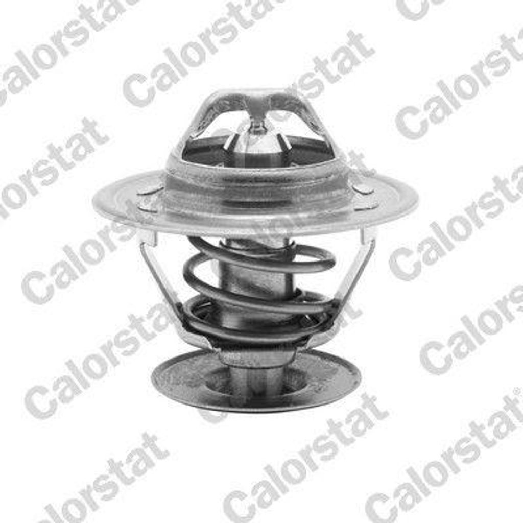CALORSTAT by Vernet Thermostat Kühlmittel